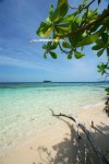 Karimunjawa Weekly Adventuring 25 - 27 Mei 2012