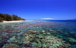 End Year Trip To Karimunjawa Islands