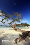Explore Belitung 10-13 Desember 2011