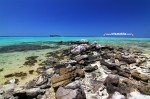 Karimunjawa Weekly Adventuring 03-06 Desember 2011 Via Semarang