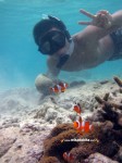 Karimunjawa Weekly Adventuring 06-09 Agustus 2011