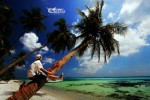 Karimunjawa Weekly Adventuring 08-11 Agustus 2011