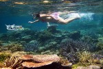 Karimunjawa Weekly Adventuring 14-17 Januari 2012