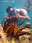 Karimunjawa Weekly Adventuring 17-20 Oktober 2011