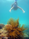 Karimunjawa Weekly Adventuring 17-20 September 2011