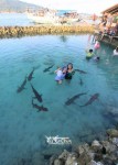 Karimunjawa Weekly Adventuring 20-23 Agustus 2011