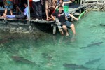 Karimunjawa Weekly Adventuring 22-25 Oktober 2011