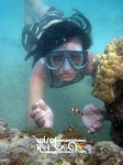 Karimunjawa Weekly Adventuring 20 - 23 Mei 2011