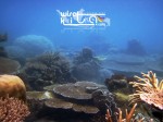 Karimunjawa Weekly Adventuring 26 - 28 Mei 2014