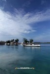 Karimunjawa Weekly Adventuring16 - 19 Desember 2013