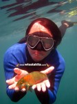Karimunjawa Weekly Adventuring 25 - 28 Desember 2013 (Paket Muria - Express)