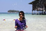 Karimunjawa Weekly Adventuring (KMC Kartini)  30 Juni-02 Juli 2017