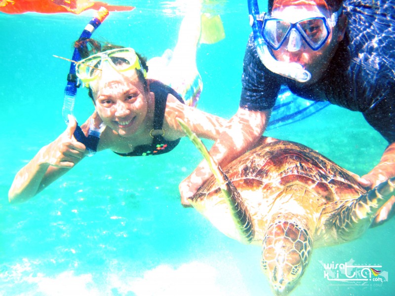 Foto bersama penyu di derawan