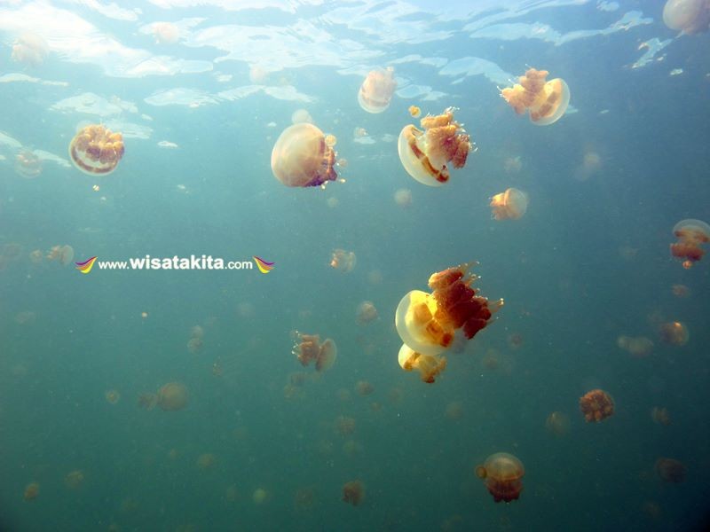 Derawan Island