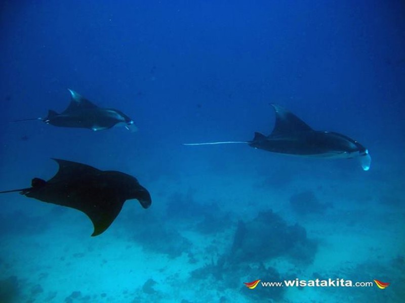 Derawan Island