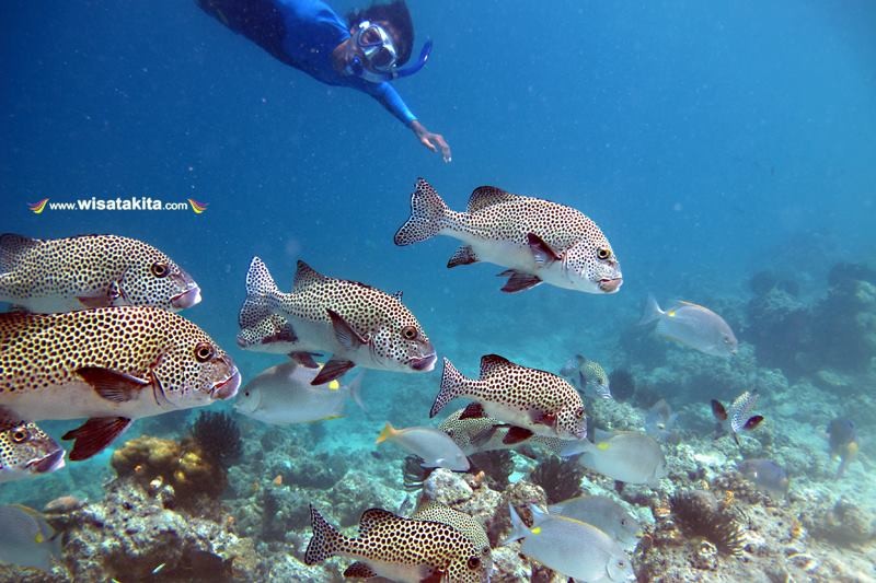 Derawan Island