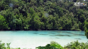 Danau Gua Kakaban Berau Kalimantan Timur