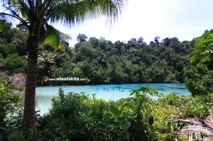Danau Ikan Kakaban