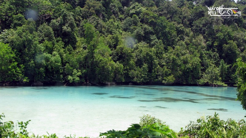Danau Gua Kakaban Berau Kalimantan Timur