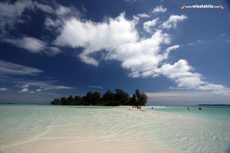 Cemara Besar Karimunjawa