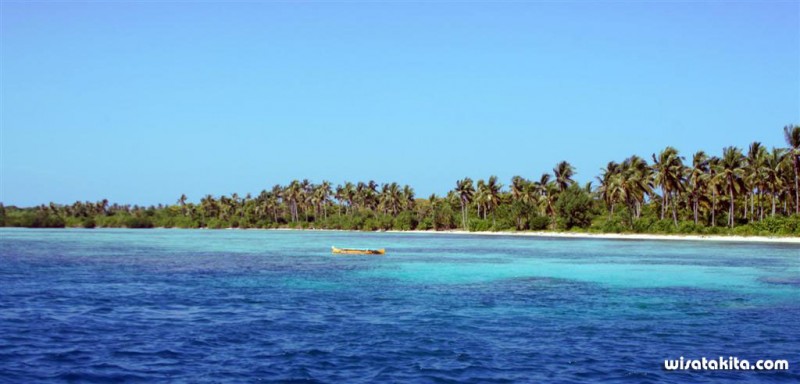 Menjangan Besar Karimunjawa