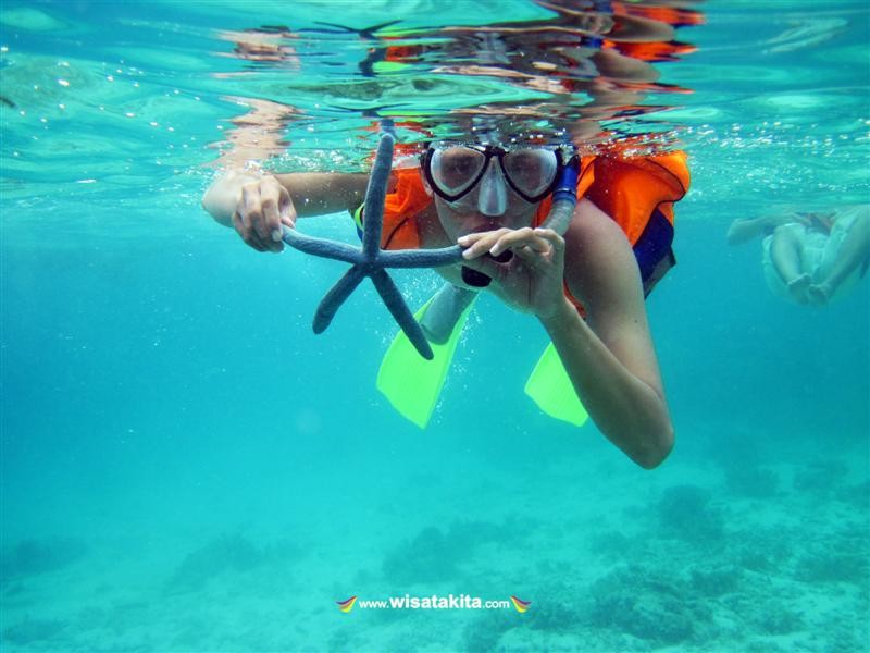 foto bersama bintang laut