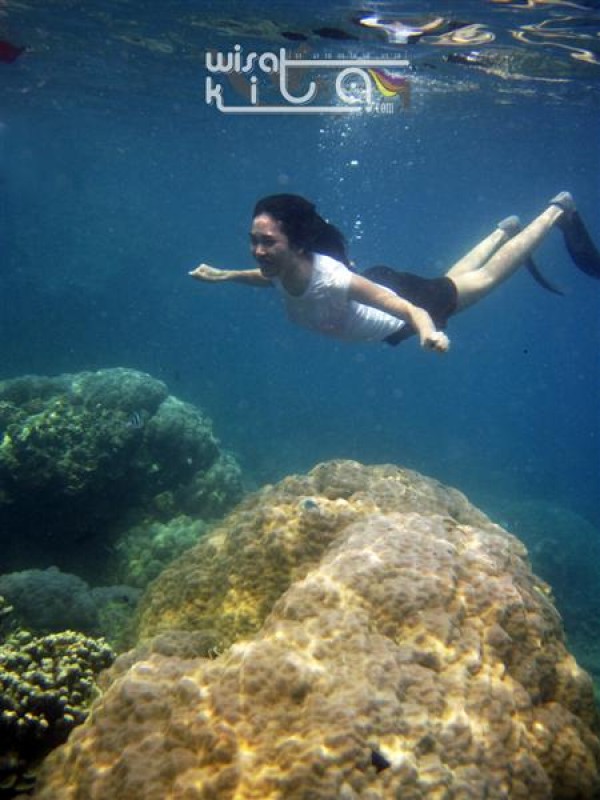 foto underwater di pulau kecil karimunjawa