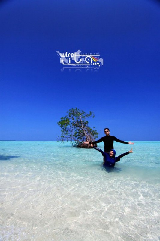 Narsis di pulau Geleang Karimunjawa