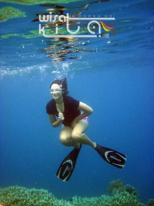 Narsis di dalam laut Menjangan Kecil Karimunjawa