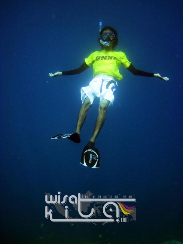 Narsis di kedalaman 5 m laut Karimunjawa