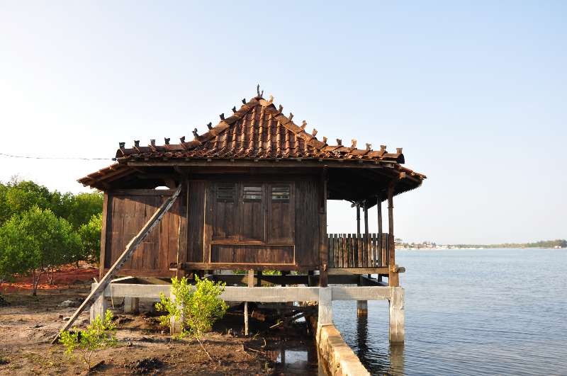 Rumah Joglo Kelapa Karimunjawa